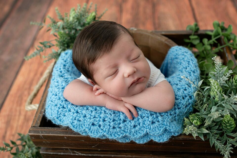 newborn Valentim 2024