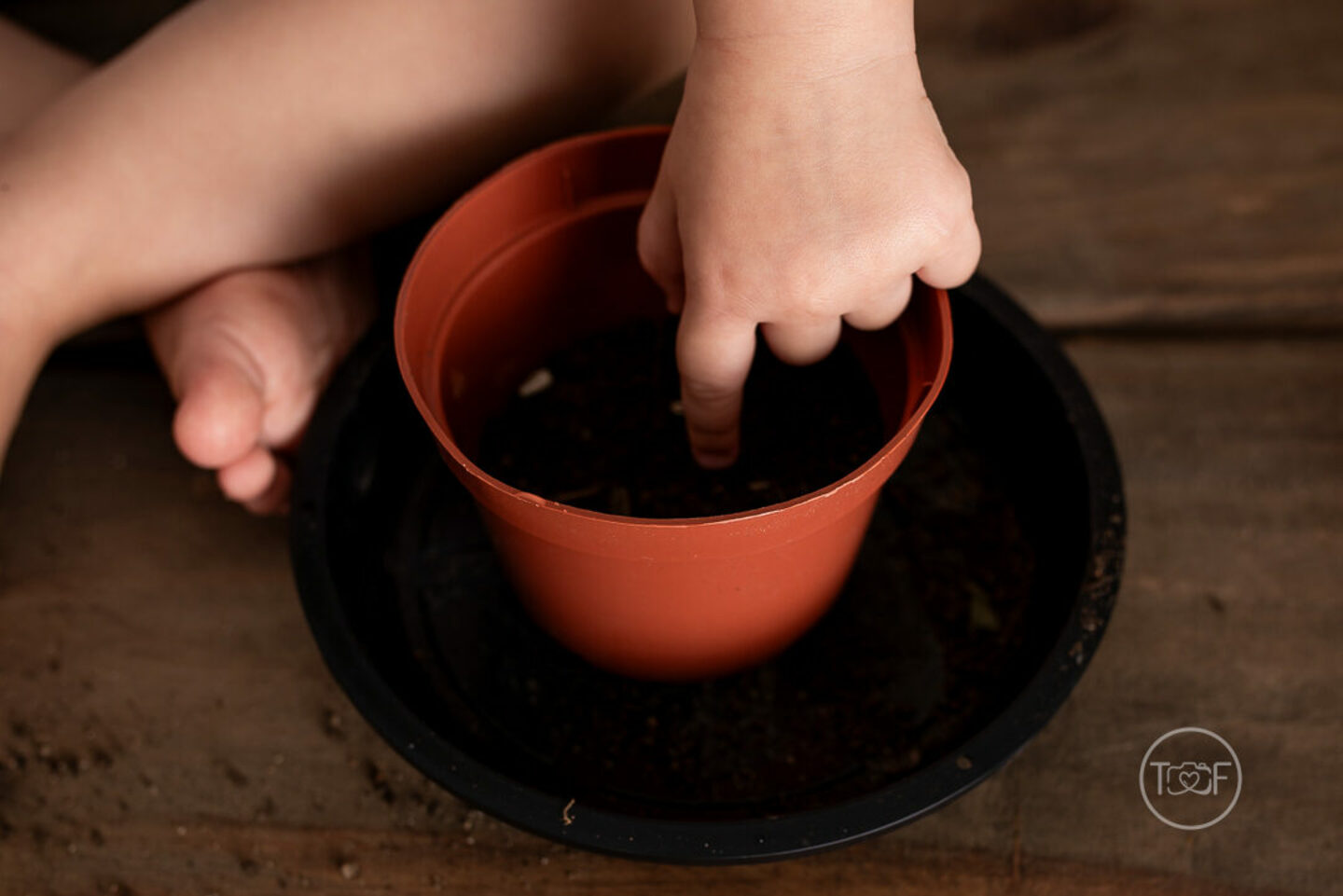 ESPECIAL dia das mães 2024