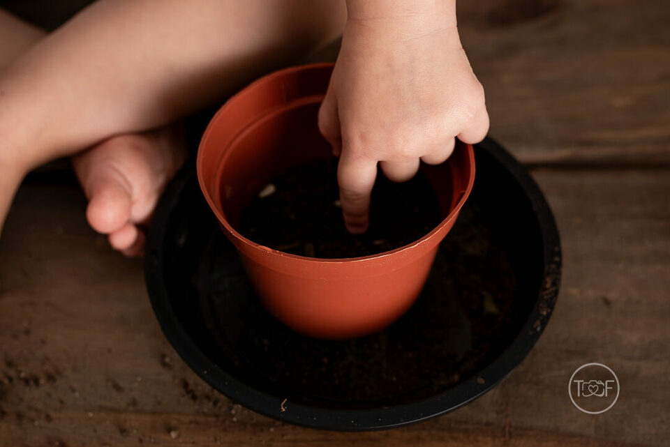 ESPECIAL dia das mães 2024