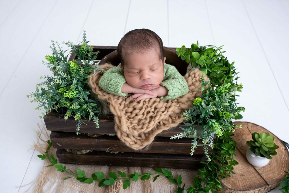 newborn Bento 2024 - março 